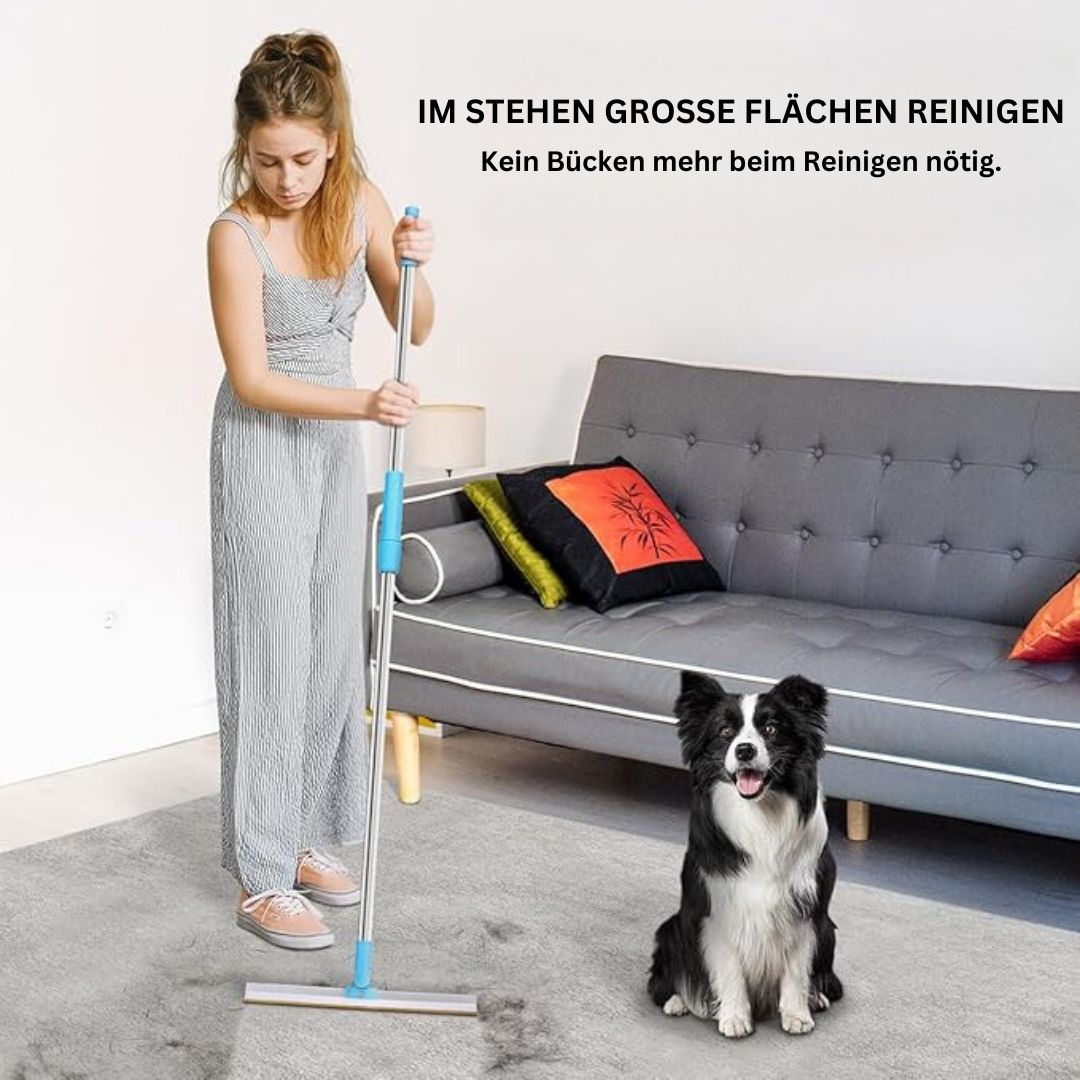 pet hair remover for carpets