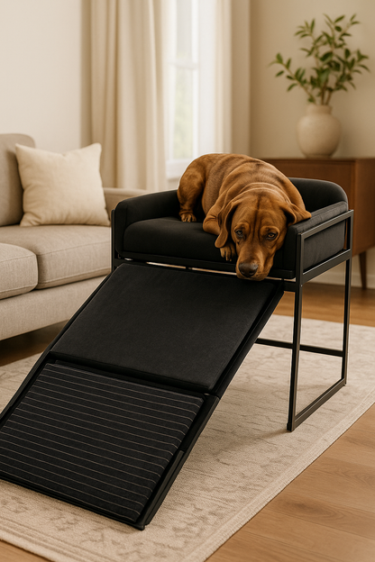 Paws & Relax – Der Premium-Haustierstuhl mit Rampe