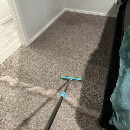 pet hair remover for carpets