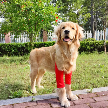 DogFlex protective bandage for elbows