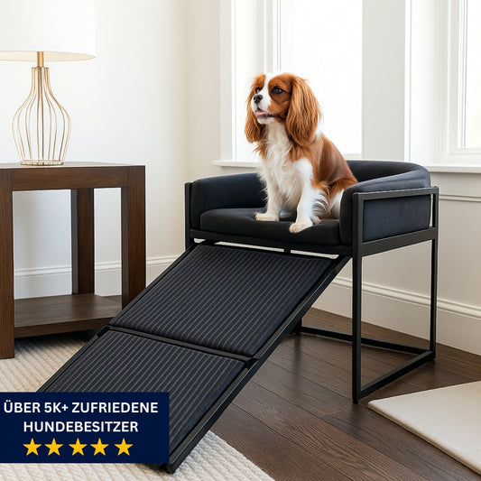 Paws & Relax – Der Premium-Haustierstuhl mit Rampe