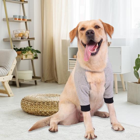 DogFlex protective bandage for elbows